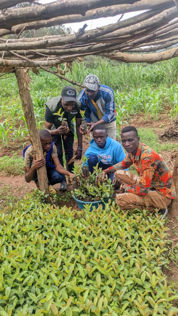Green for Life Rwanda community members holding seedlings during field training