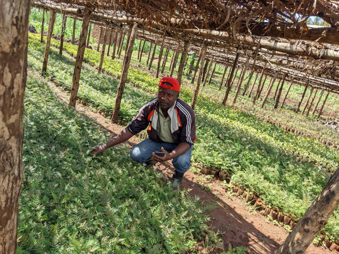 Tree nursery inspection supporting environmental work