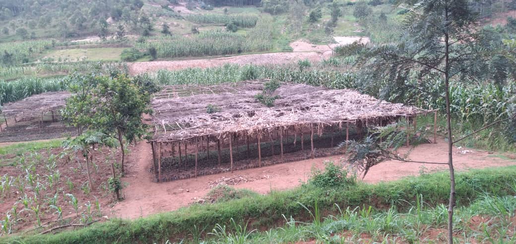 Community tree nursery supporting agroforestry activities