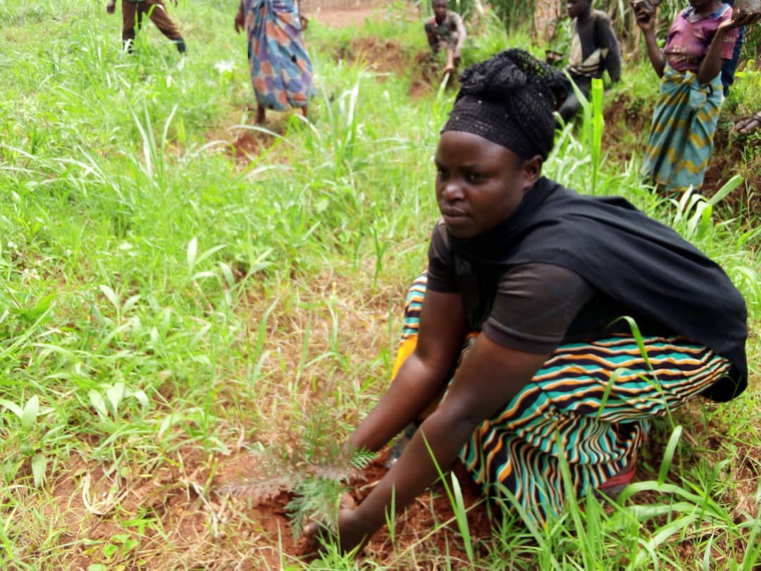 Community member demonstrating tree planting